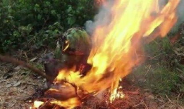 暗黑爆料吃瓜免费,揭秘娱乐圈背后的秘密，免费吃瓜大放送！