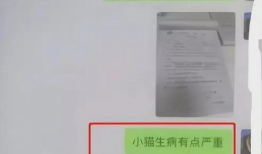 吃瓜爆料聊天记录大学生,揭秘大学生吃瓜聊天记录背后的故事